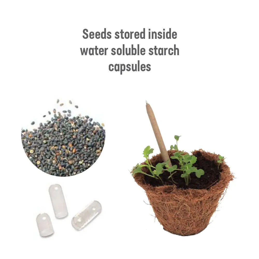 SeedScribe