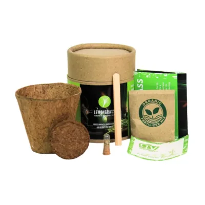 Seed Pot