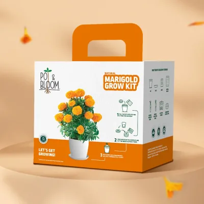 Marigold Grow Kit